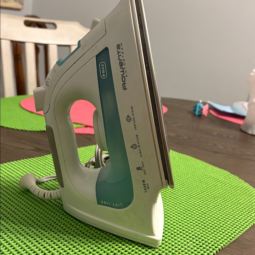 Rowen Stainless Steel Iron with White Base